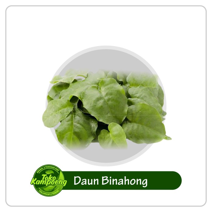 

Herbal Daun Binahong Segar 1kg