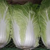 

sawi puth 500gr /Rp 6000