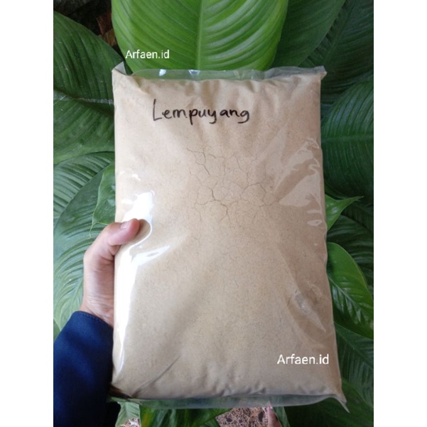 

Serbuk Lempuyang Premium Bubuk Lempuyang Murni 1kg