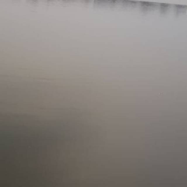egaeg