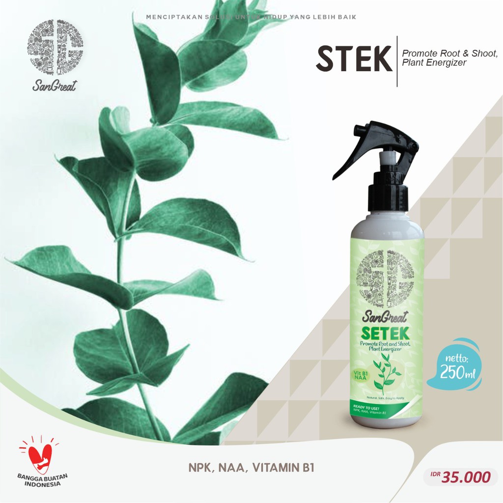 SanGreat SETEK Perangsang Akar untuk perbanyakan tanaman water propagation maupun media tanam langsung plus Vitamin B1 siap pakai 250 ml untuk aglonema monstera philodendron calathea keladi alocasia anthurium dll