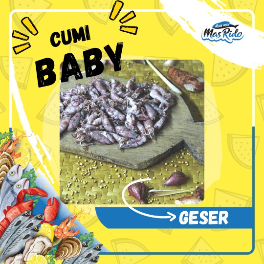 

Cumi Asin Baby Rebus 1KG Mentah Untuk Sambal Cumi Kualitas Super Premium Ukuran Sedang