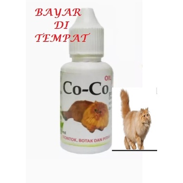 CO -CO- OIL OBAT KUCING BULU BOTAK PITAK OBAT KUCING BULU RONTOK AMPUH PENUMBUH BULU  TERMURAH