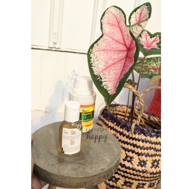 VITAMIN B1 - LIQUINOX REPACK 30ML - PERANGSANG AKAR TANAMAN