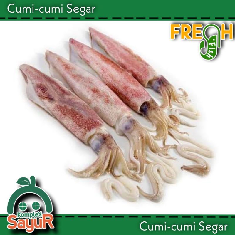 

Cumi-cumi Bangka Segar 250 Gram Grade A