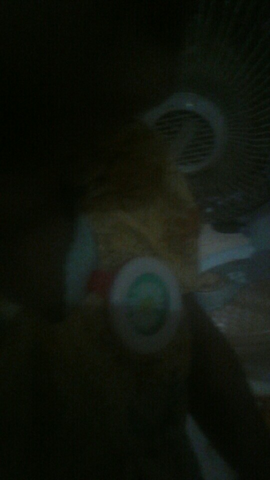 Bikit Guard Clip Anti Serangga Nyamuk / Pin Anti Mosquito Buckle