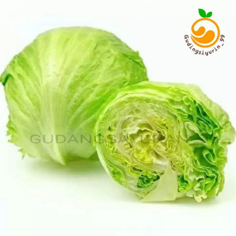 

Lettuce head 500 gram