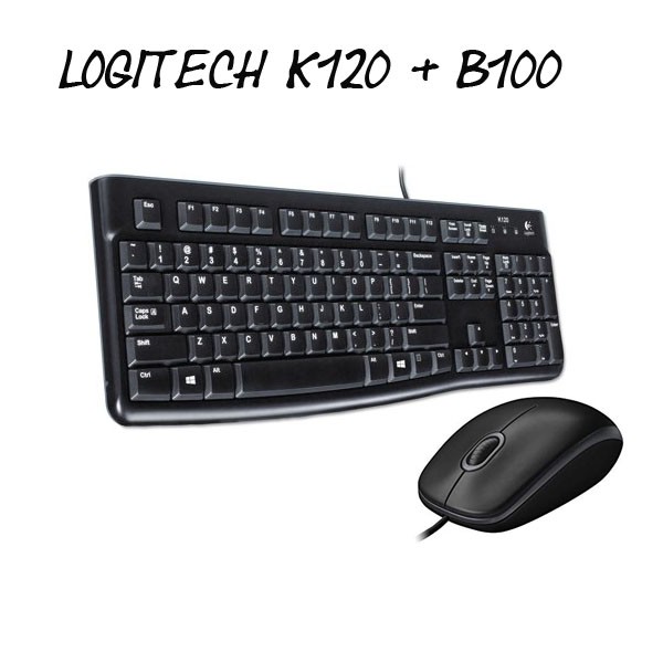 Logitech Paketan Keyboard K120 &amp; Mouse B100