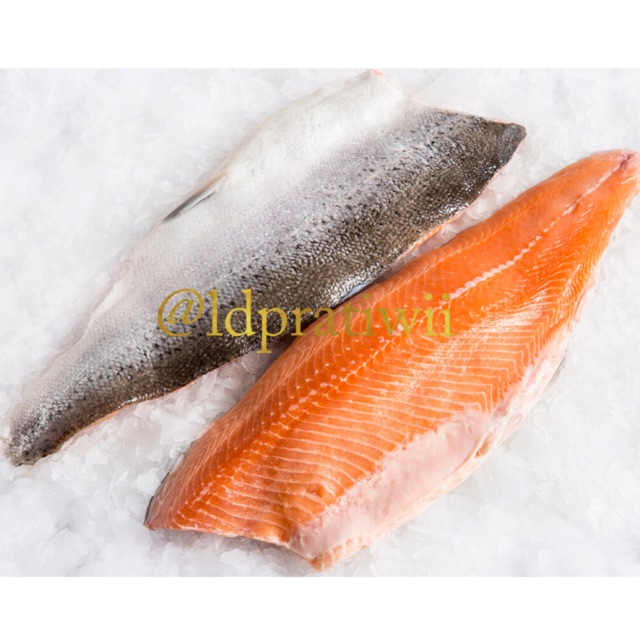 

Salmon Fillet Frozen Norway trout