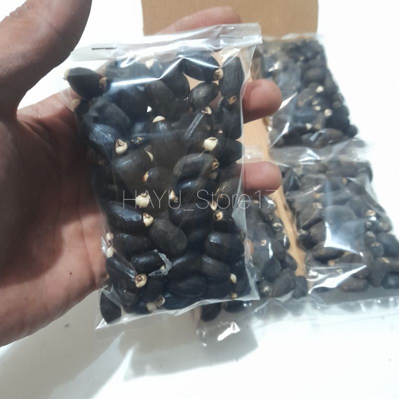Biji jarak kering - Herbalisme Anti jamur - Buah jarak