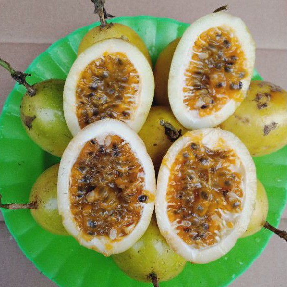 

Buah Markisa Bahan Minuman 1 Kg