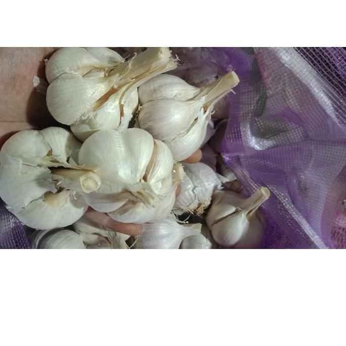 

Trendy Bawang putih Kating 1kg !!