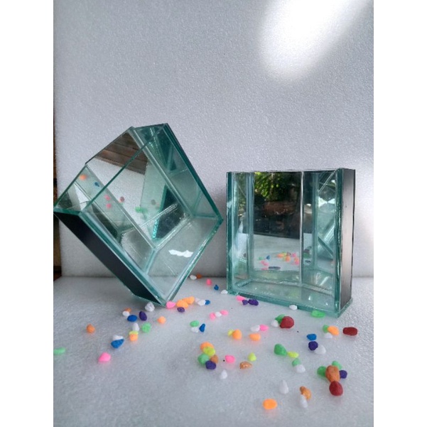 soliter kaca selfi segi 5 aquarium cupang soliter cupang 15x10x15