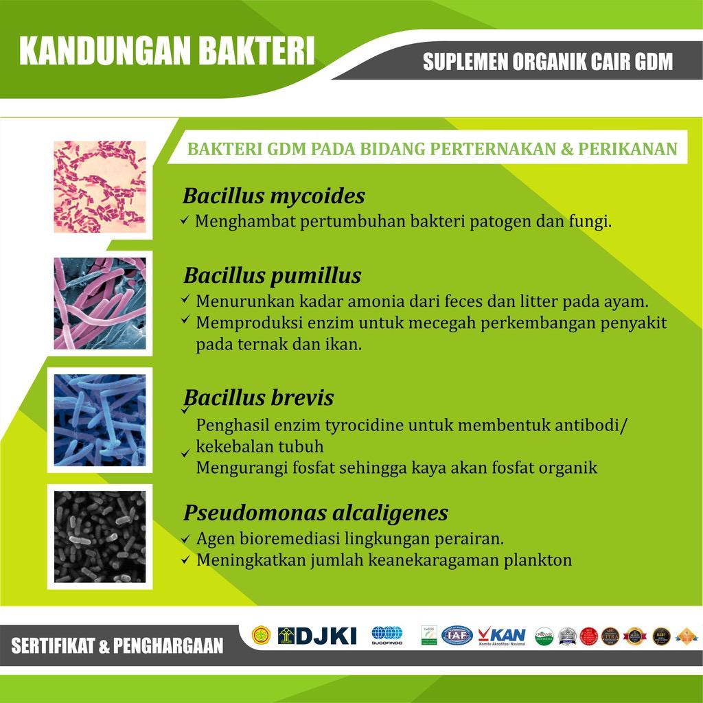 Nutrisi Perikanan dan Peternakan 1 Liter SOC GDM Original