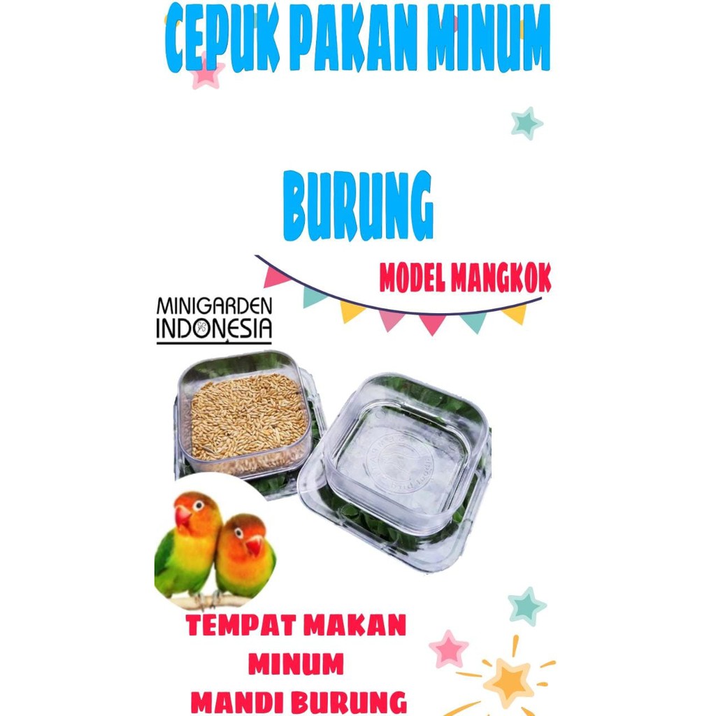 CEPUK KOTAK KENARI TEMPAT MAKAN MINUM BURUNG MODEL MANGKOK cangkir akrilik mika transparant burung kenari