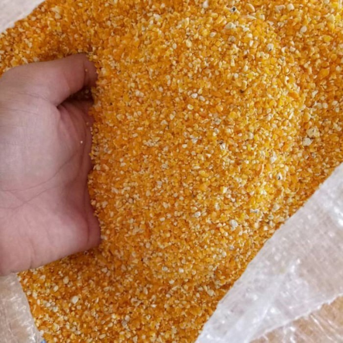 25 kg JAGUNG GILING UNTUK PAKAN TERNAK / PAKAN UNGGAS 25kg