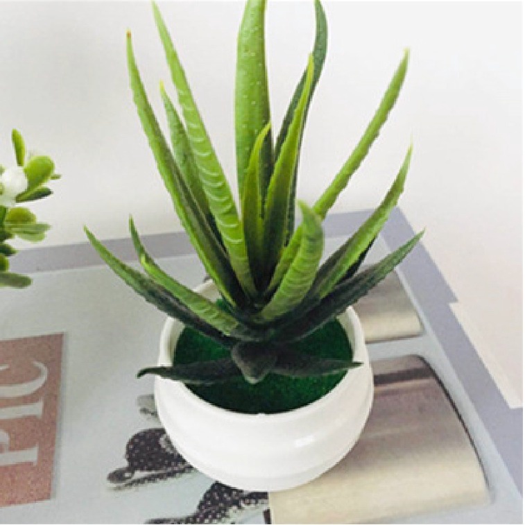 PFS - Pot Bunga Plastik / Tanaman Lidah Buaya Palsu / Bunga Hias Artificial  Dekorasi Dekor Decorasi