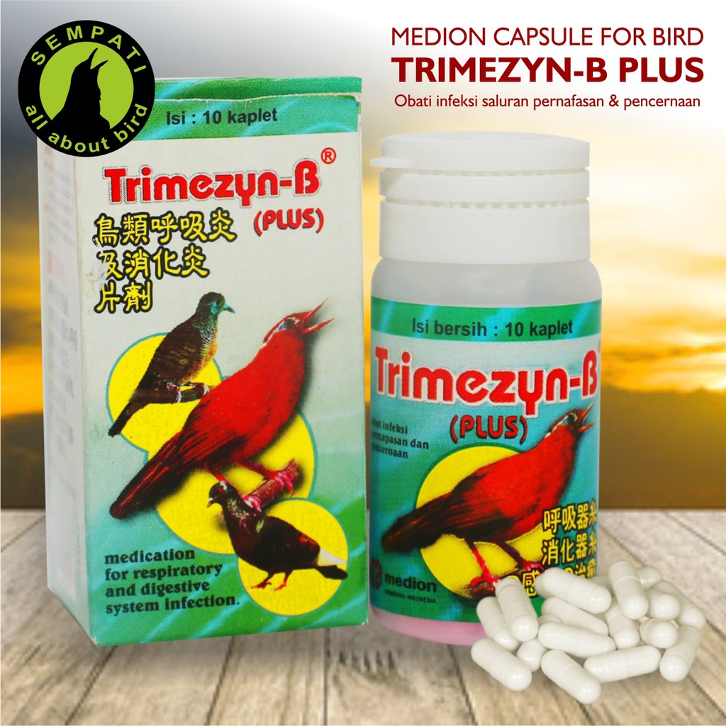 Trimezyn B Plus Obat Burung Sakit Sesak Nafas Muka Bengkak