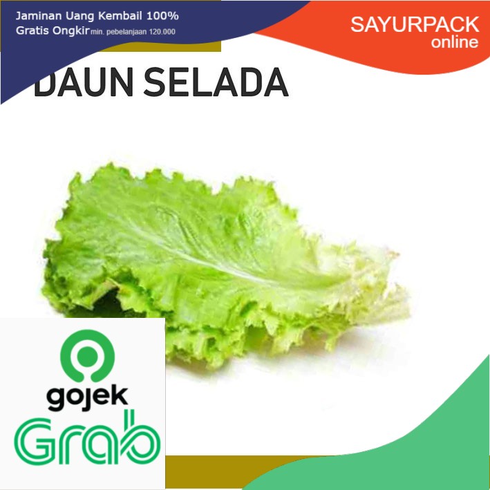 

[ sayurpack ] [SayurOnline] DAUN SELADA SAYUR [50g]