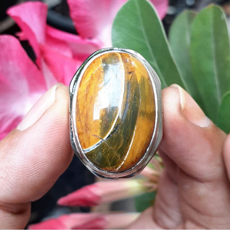 Fosil Kayu Hijau Coklat Kendit Langka