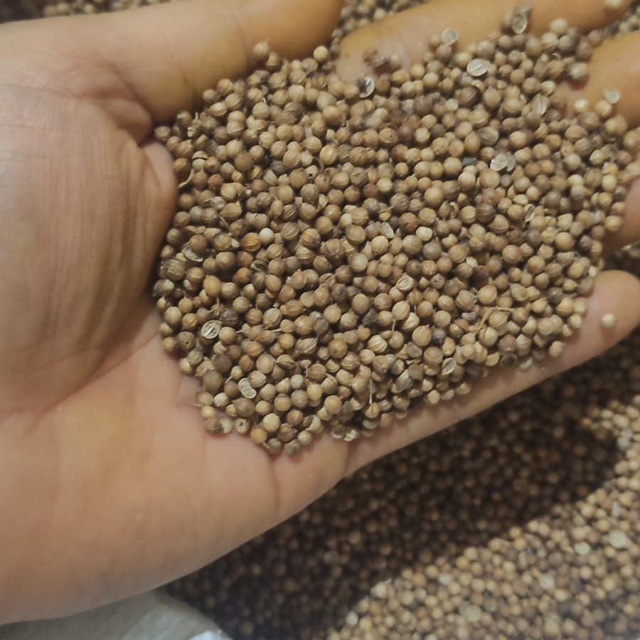 

ketumbar organik hitam premium asli 1 Kg