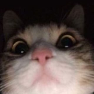 3pcs / Set Peralatan Makan Sendok / Garpu / Sumpit Bahan Wheat Straw Untuk Travel / Camping Cuc-156