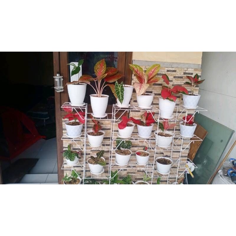 satu paket rak bunga susun 12 dari besi beton 8 asli