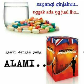 Khasiat British Propolis Musee Untuk Mengobati Diabetes