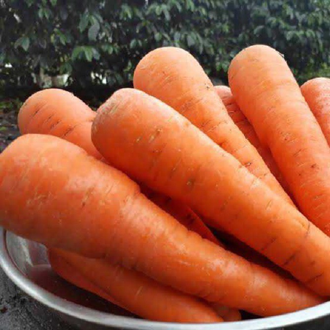 

Sayuran Segar Wortel Import / Wortel Brastagi 1Kg