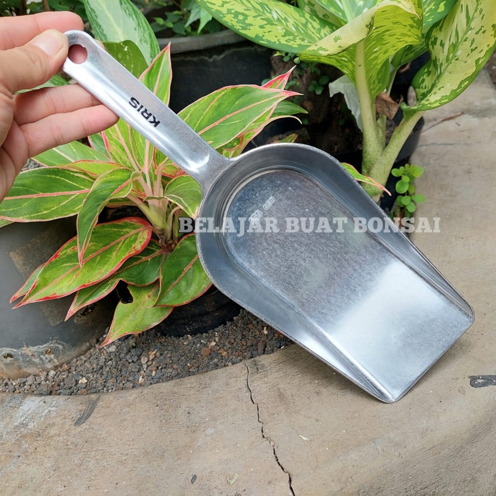 Sekop Pindah Media Premium Anti Karat Stainless Steel 31 CM