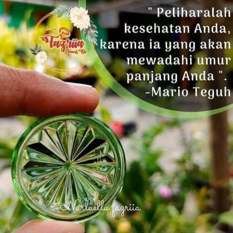 biomini V3 original MCI