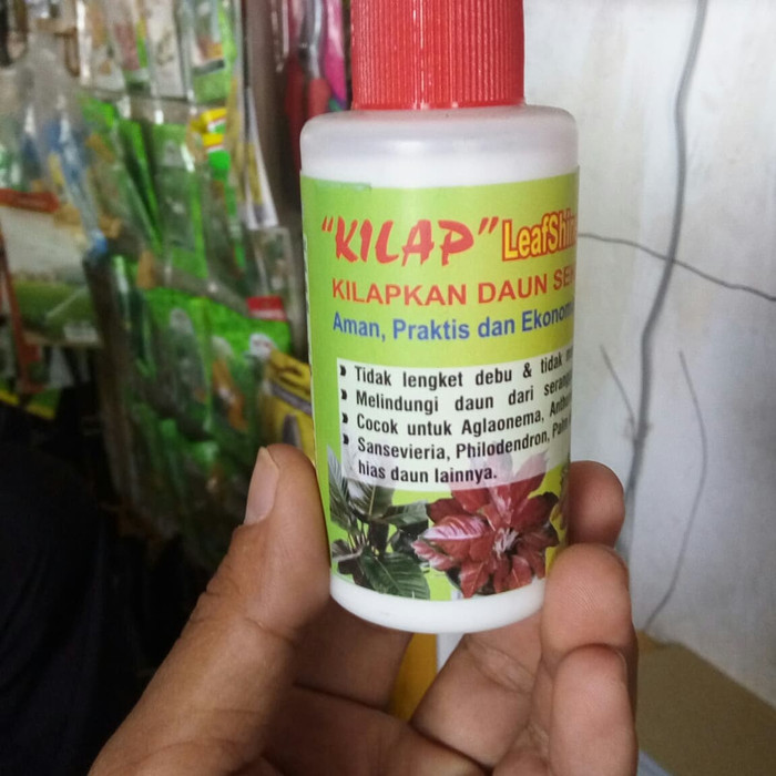 Obat Pengkilap Daun Tanaman Hias