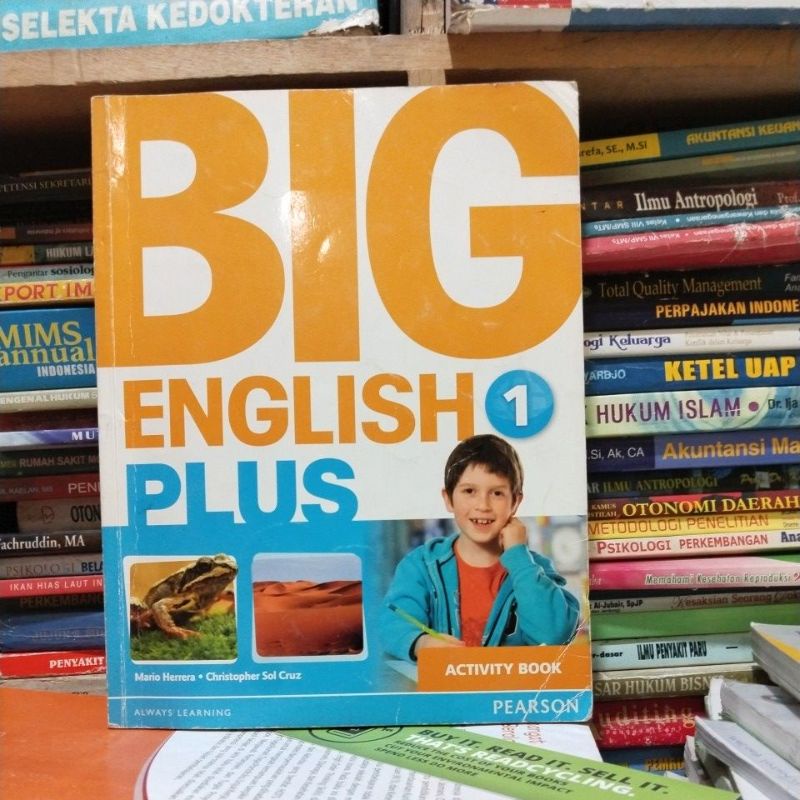 buku big english 1plus activity book
