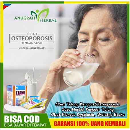 

Obat Tulang Keropos/Osteoporosis - Susu Herbal Penguat Tulang, Obat Fibrous Dysplasia, Walatra Etaku