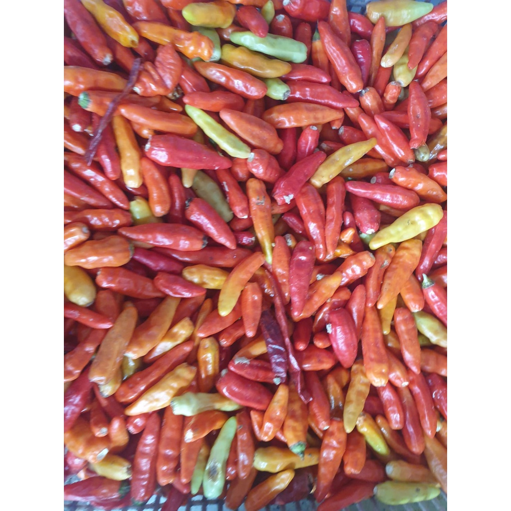 

Cabe Rawit Merah 250gr