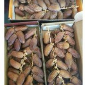 

Kurma Tunisia Tangkai 500gram / Kurma Tangkai Palm