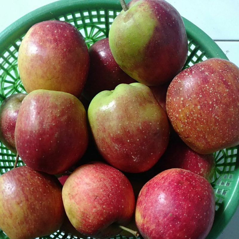 

Buah Apel Malang segar 3kg @