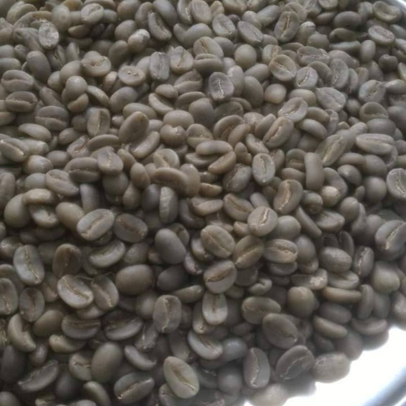 greenbeans arabika biji mentah 1kg kopi arabika dataran tinggi dieng lereng gunung bismo slukatan wo