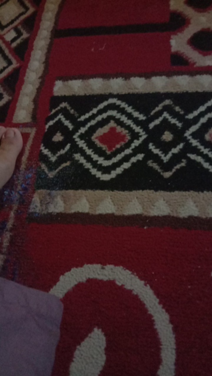 Bunga Hiasan Ring Bearer Terarium Kotak Cincin