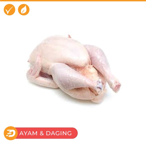 

Ayam negeri utuh harga 800 gram