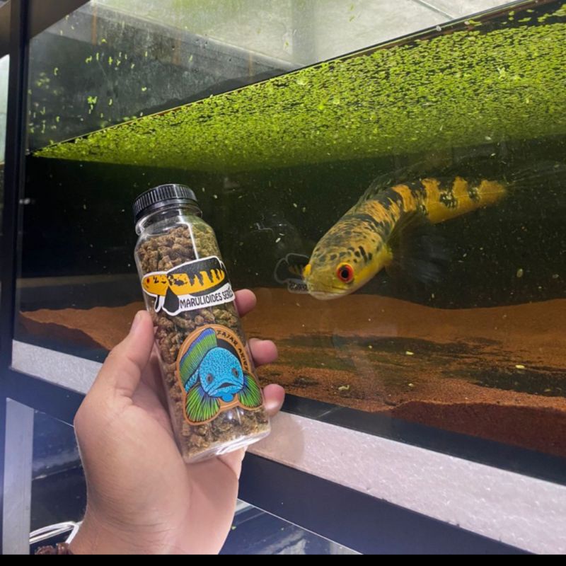 PELET JAHAT BOTOL TREATMENT BUNGA & WARNA CHANNA MARU