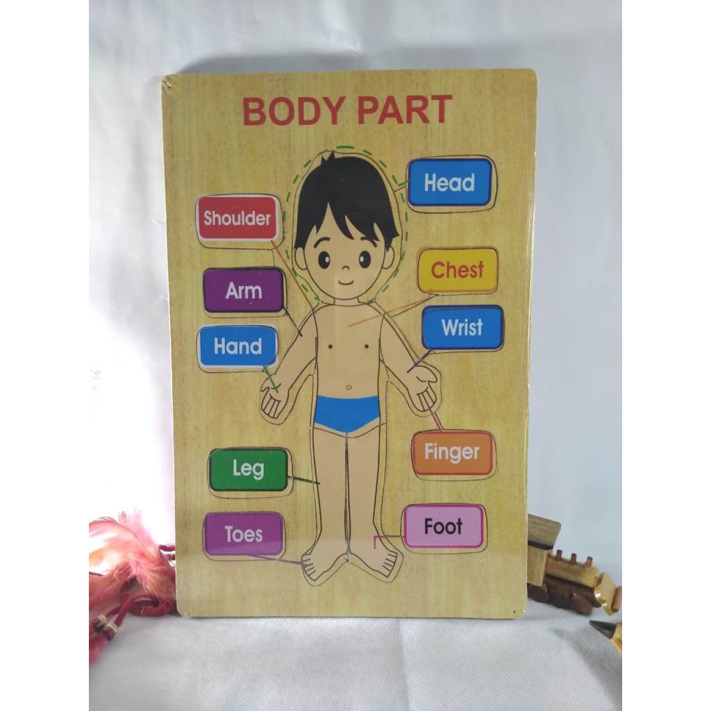 PUZZLE KAYU. MAINAN EDUKASI. PUZZLE GAMBAR BODY PART BAHAN KAYU. Riens Collections