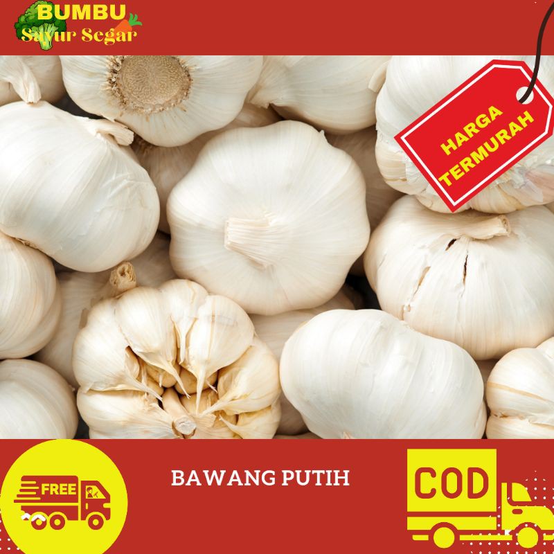 

BAWANG PUTIH