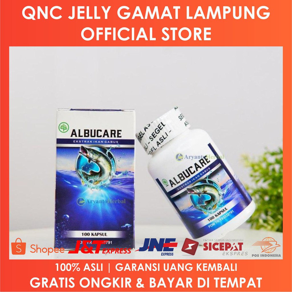 

Albucare Ekstrak Ikan Gabus Asli 100% Bergaransi - Lampung