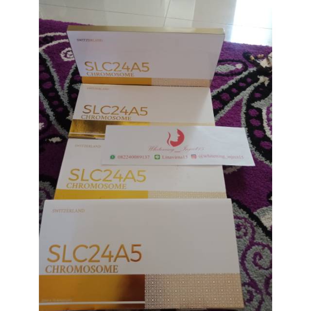 SLC24A5 CROMOSOM GOLD ORIGINAL 1000%