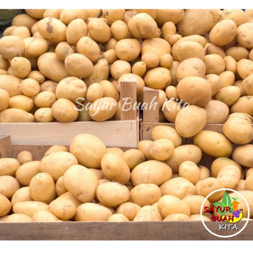 

Kentang Kuning Segar 500 gram