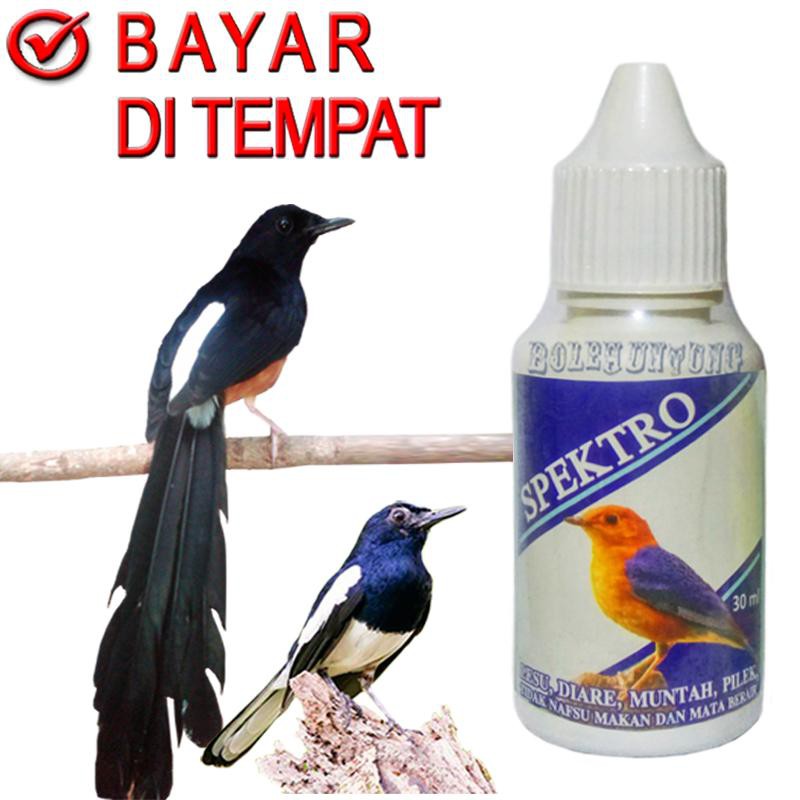 OBAT VITAMIN BURUNG MUNTAH DIARE PILEK SPEKTRO