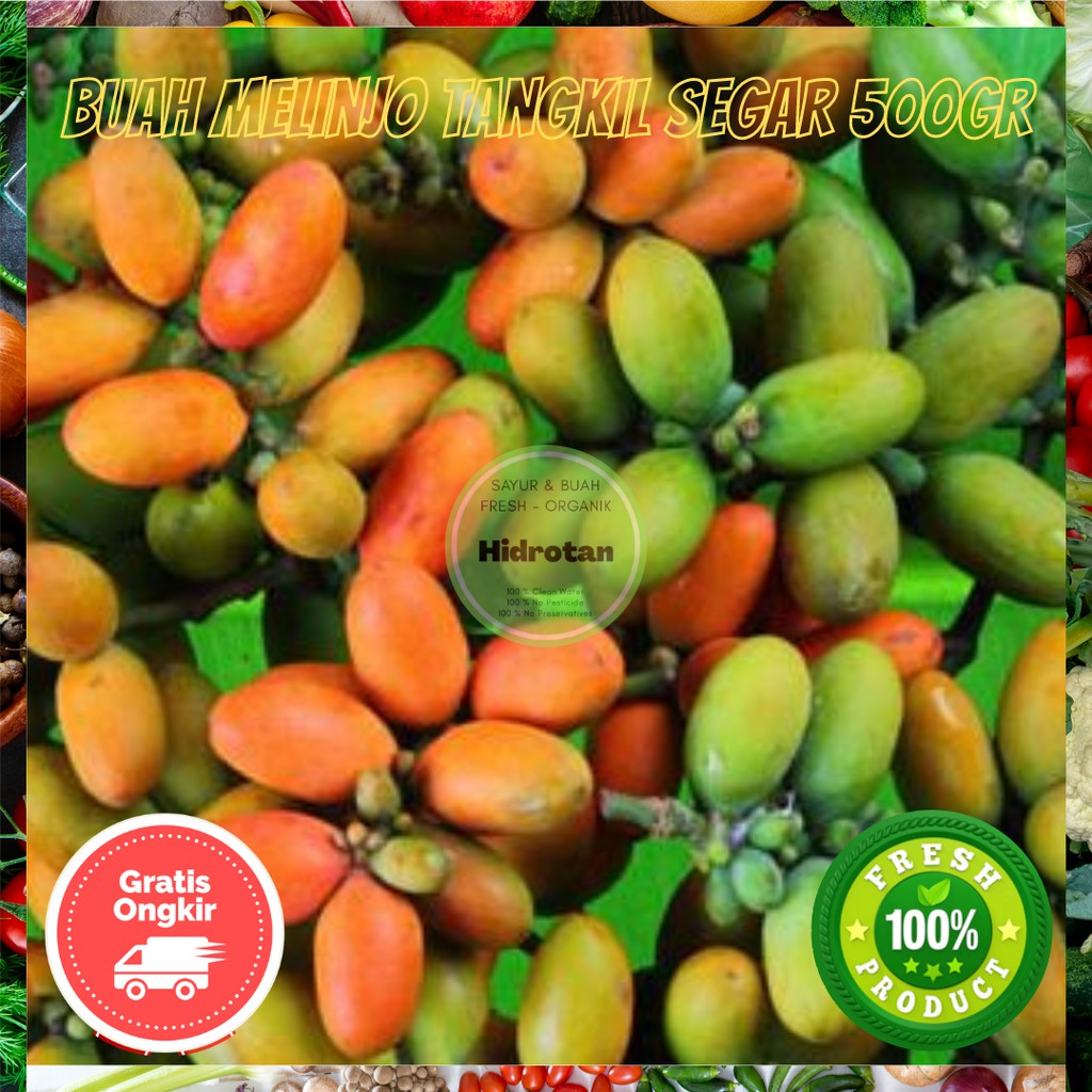 

Buah Melinjo Tangkil | Sayur Sayuran Segar Fresh Murah 500 gr - Free Emas