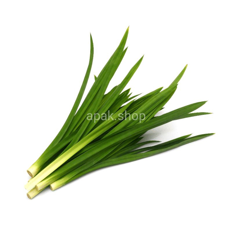 

Daun Pandan 1 ikat