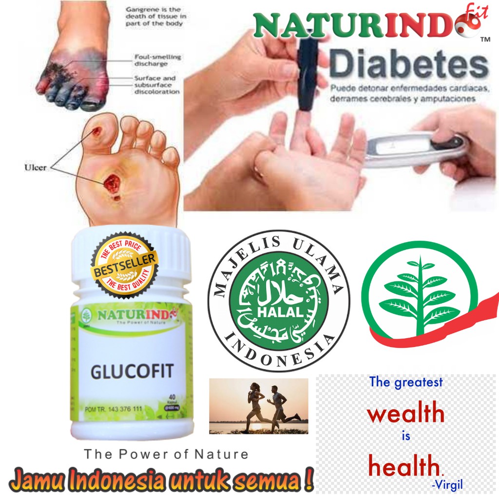 OBAT HERBAL DIABETES GLUCOFIT NATURINDO